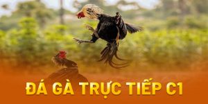 đá gà trực tiếp c1 là gì