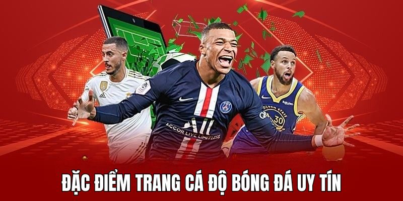 Đặc điểm của trang cá độ bóng đá uy tín sở hữu