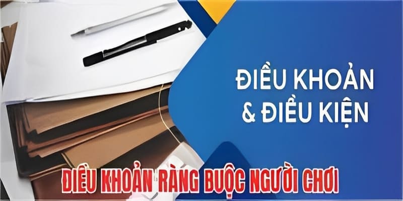 Điều khoản điều kiện về trách nhiệm giữa thành viên và nhà cái
