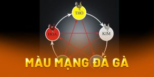 màu mạng đá gà