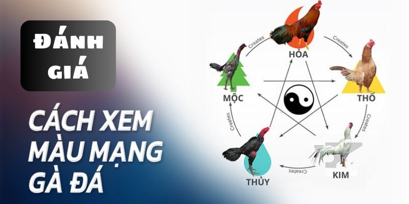 Đánh giá tổng quan về sức mạnh và tiềm năng của gà