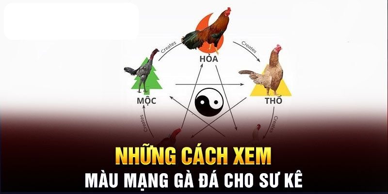 Những loại màu mạng đá gà lông trắng phổ biến hiện nay
